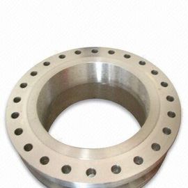 Stainless Steel Pipe Flanges