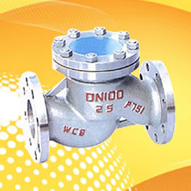 Check Valve