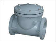 Swing check valve